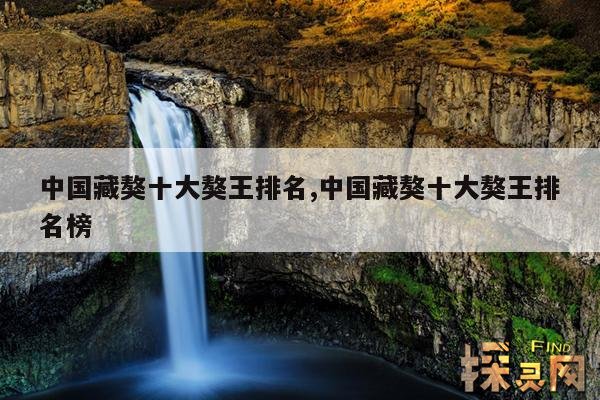 中国藏獒十大獒王排名,藏獒单挑能打过狼吗?