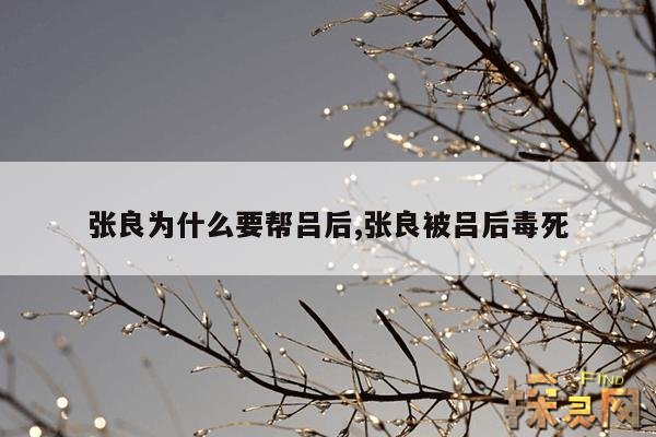 张良为什么要帮吕后,张良被吕后毒死