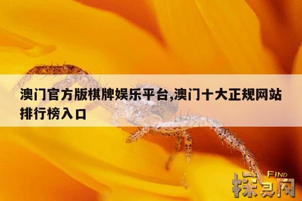 澳门官方版棋牌娱乐平台,澳门棋牌正规版