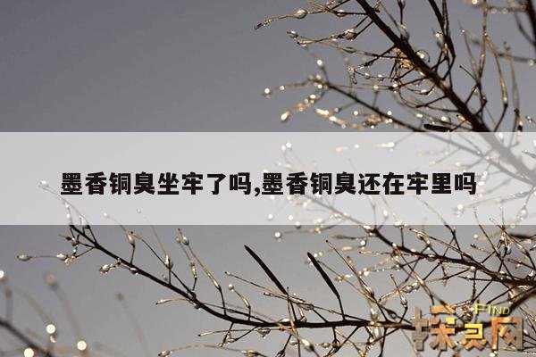 墨香铜臭坐牢了吗,墨香铜臭还在牢里吗