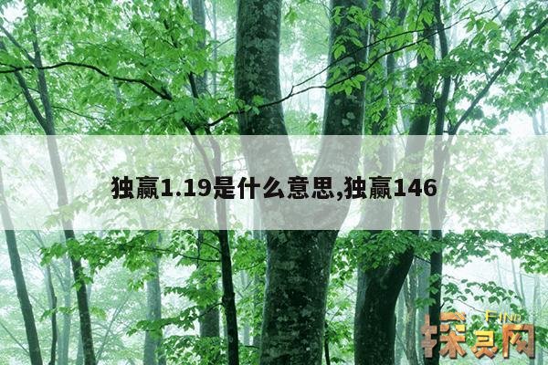 独赢1.19是什么意思,独赢146