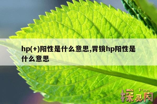 hp(+)阳性是什么意思,胃镜hp阳性是什么意思