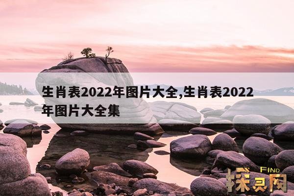 生肖表2022年图片大全,生肖表 图表