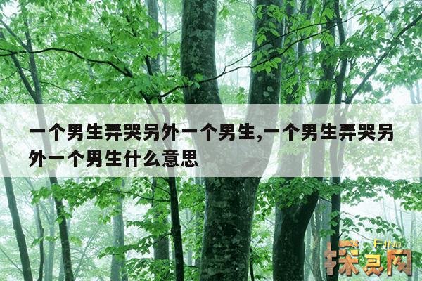 一个男生弄哭另外一个男生,一个男生弄哭另外一个男生什么意思