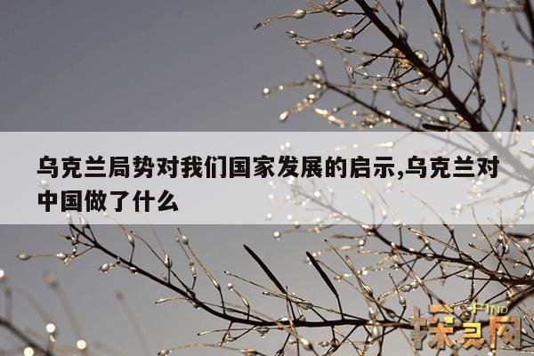 乌克兰局势对我们国家发展的启示,乌克兰对中国做了什么
