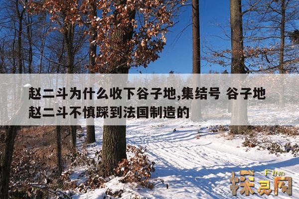 赵二斗为什么收下谷子地,赵二斗不慎踩到法国制造的