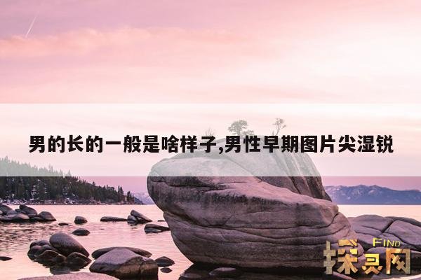 男的长的一般是啥样子,男人长什么样子?