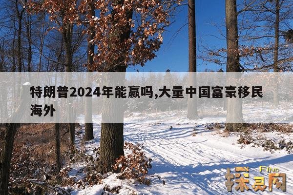 特朗普2024年能赢吗？,特朗普2024年能赢吗？最新消息