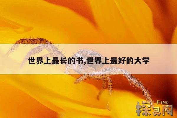 世界上最长的书,世界上最好的大学