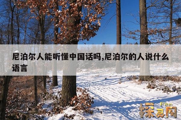 尼泊尔人能听懂中国话吗?,尼泊尔对中国人友好吗?