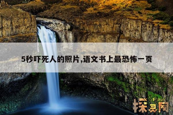 5秒吓死人的照片,语文书上最恐怖一页