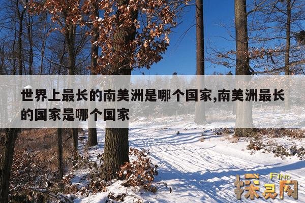世界上最长的南美洲是哪个国家,南美洲最长的国家是哪个国家