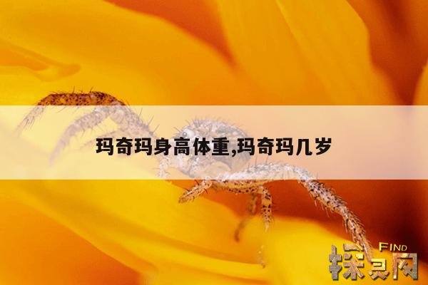 玛奇玛身高体重,玛奇玛几岁