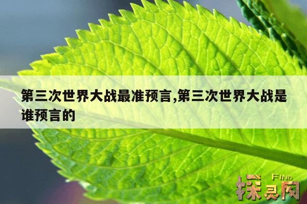 第三次世界大战最准预言,第三次世界大战还远吗?