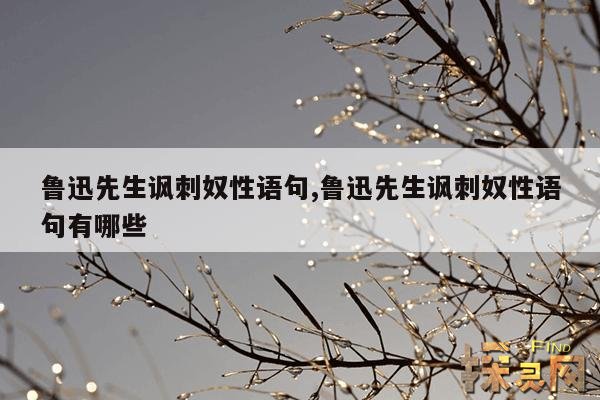 鲁迅先生讽刺奴性语句,鲁迅先生讽刺奴性语句有哪些