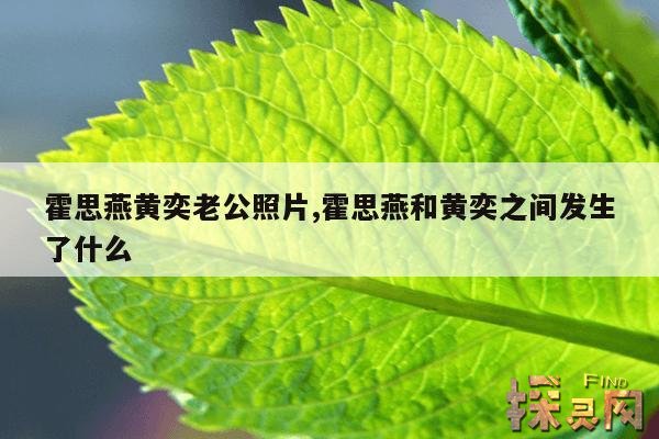 霍思燕黄奕老公照片,霍思燕和黄奕之间发生了什么