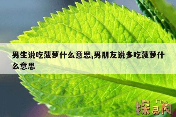 男生说吃菠萝什么意思,男生对女生说吃菠萝是什么意思