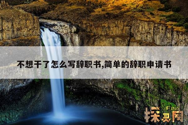 不想干了怎么写辞职书,简单的辞职申请书