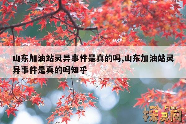 山东加油站灵异事件是真的吗?,山东加油站爆炸事件