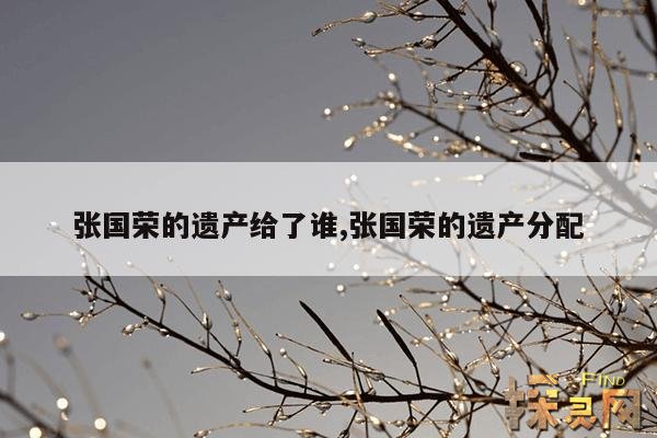 张国荣的遗产给了谁,张国荣的遗产分配
