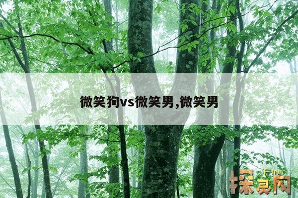 微笑狗vs微笑男,微笑男