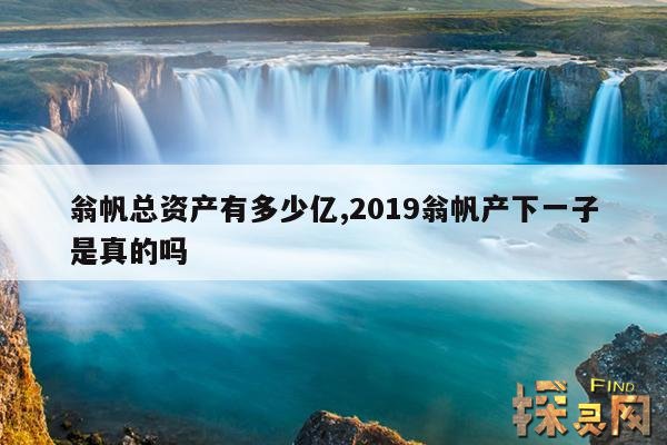 翁帆总资产有多少亿,2019翁帆产下一子是真的吗