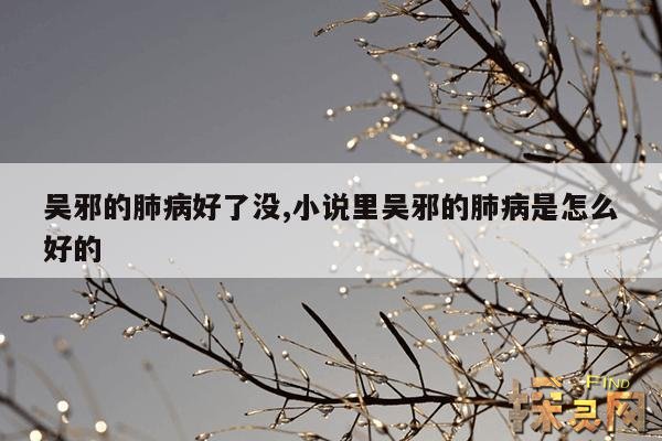 吴邪的肺病好了没,小说里吴邪的肺病是怎么好的