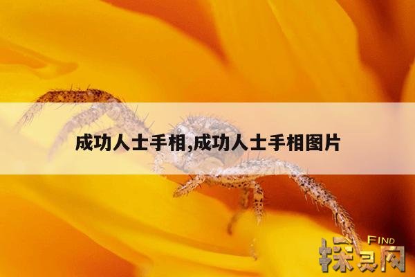 成功人士手相,成功人士手相图片