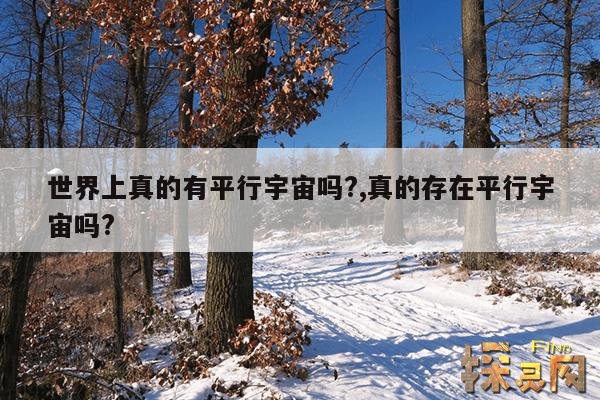 世界上真的有平行宇宙吗?,这个世界上真的有平行宇宙吗?