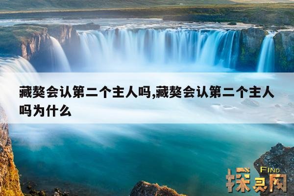 藏獒会认第二个主人吗?,藏獒一生认一个主人